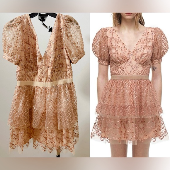 NWOT Self Portrait Dress|Self-Portrait Mini Dress Taupe Sequin Tiered (US 8) - Picture 1 of 16